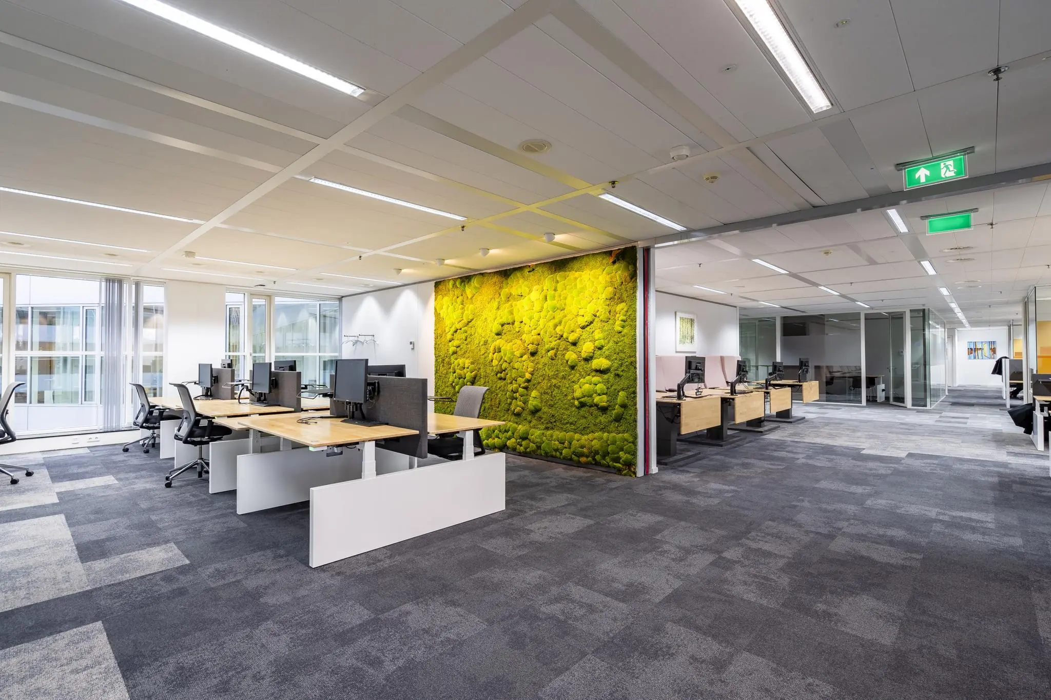 Modern kantoorinterieur aan de Newtonlaan met open werkplekken en een opvallende groene moswand.