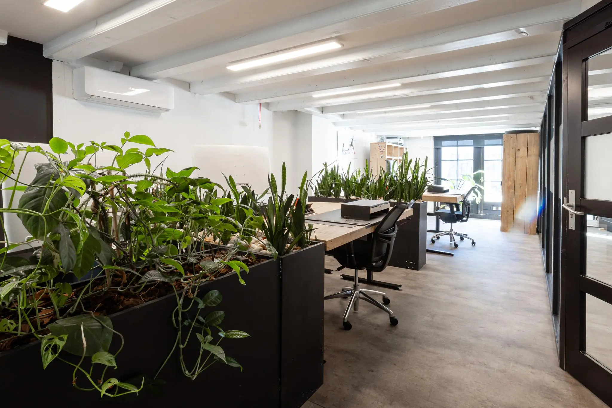 Modern kantoorinterieur aan het Rokin met houten bureaus, zwarte bureaustoelen en veel groene planten.