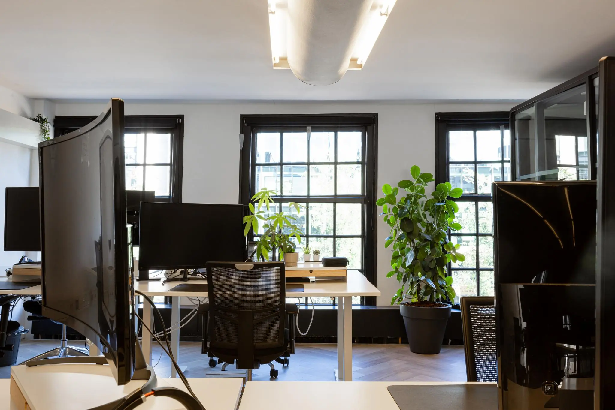 Modern kantoorinterieur aan het Rokin met bureaus, grote computerschermen en kamerplanten voor hoge ramen.