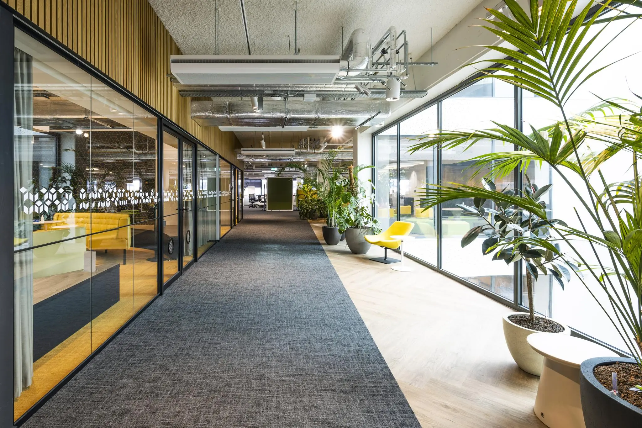 Moderne kantoorruimte aan de Kabelweg met glazen vergaderruimtes, grote ramen en veel planten.