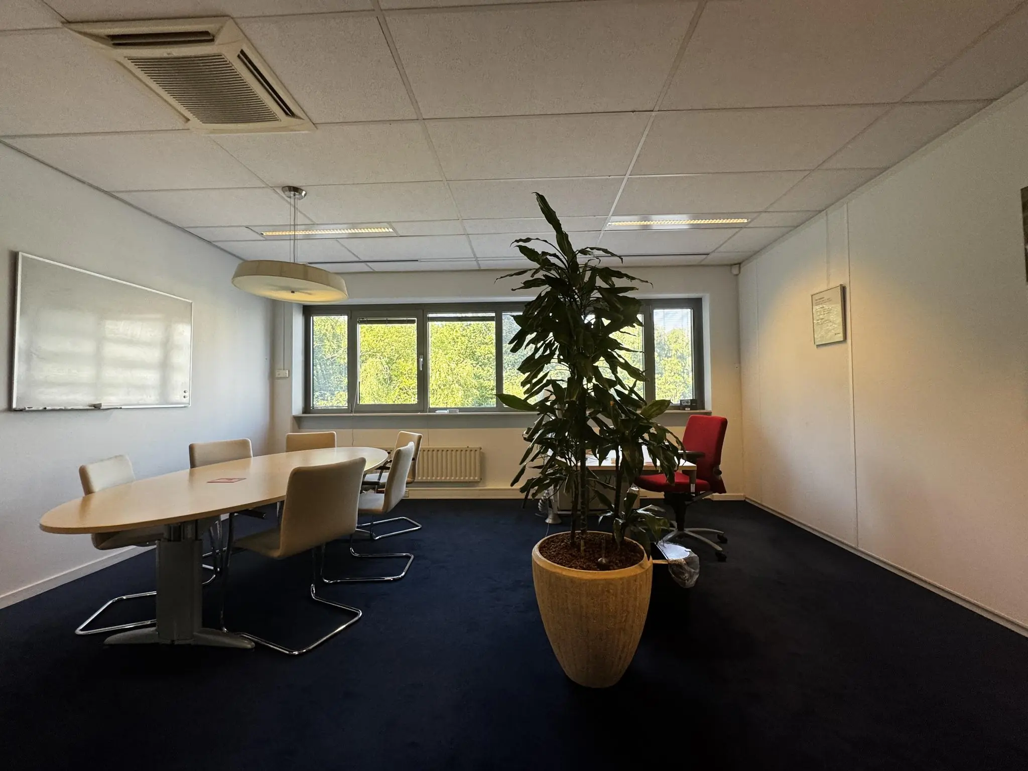 Vergaderruimte met ovale tafel, zes stoelen, grote plant en een rood bureau aan het raam op Softwareweg.