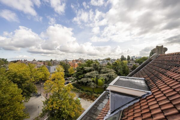 Uitzicht op het Emmaplein in Amsterdam met groene bomen, historische gebouwen en een pannendak op de voorgrond onder een deels bewolkte hemel.
