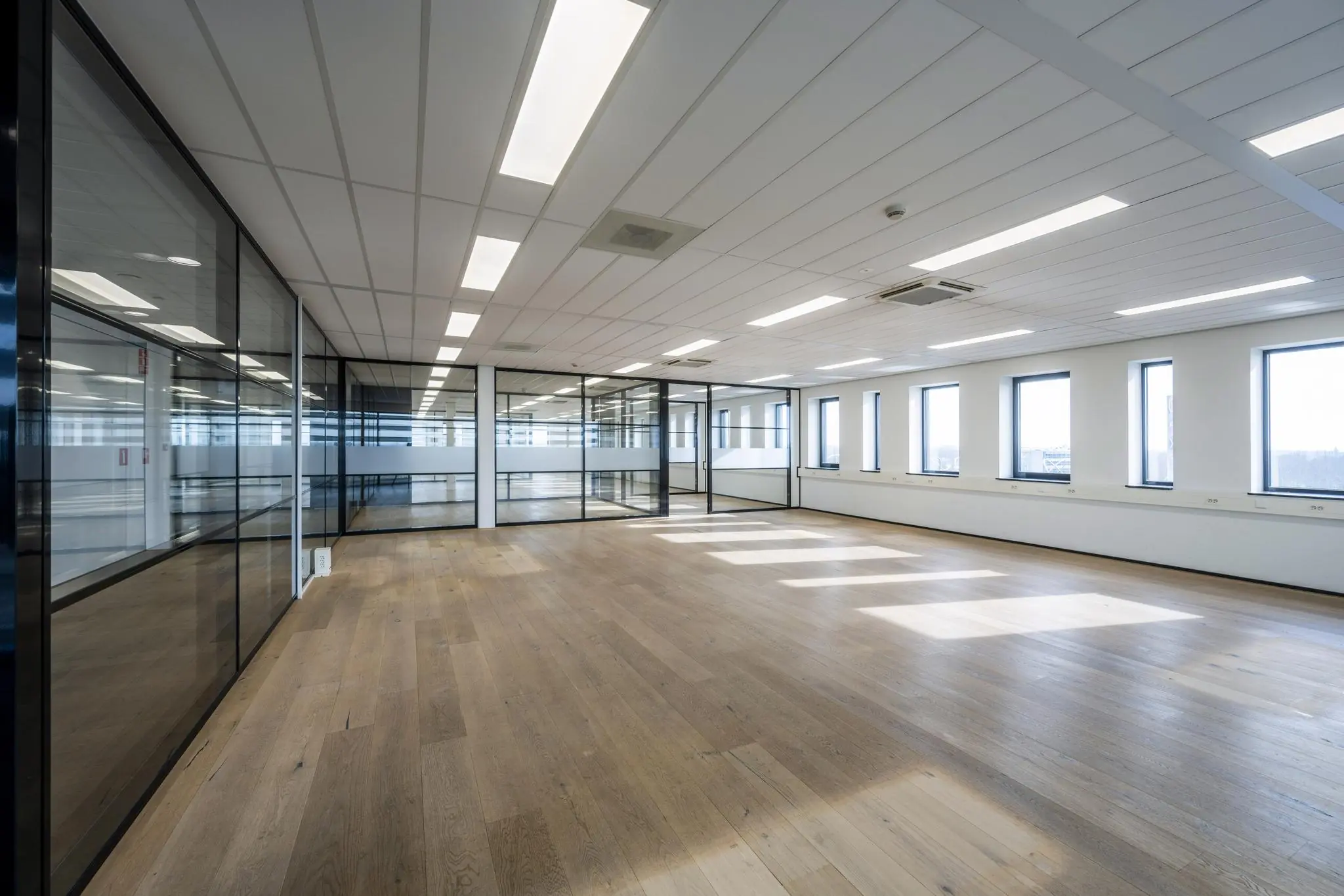 Licht en ruim leeg kantoor met houten vloer, glazen wanden en meerdere ramen aan de Sijsjesbergweg.