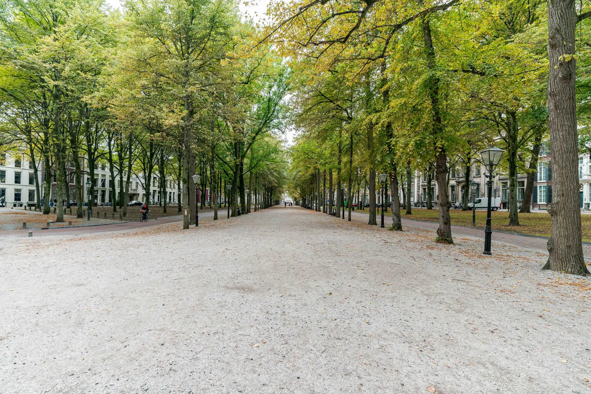 Boomrijke laan met grindpad op het Lange Voorhout in Den Haag, omgeven door klassieke gebouwen.