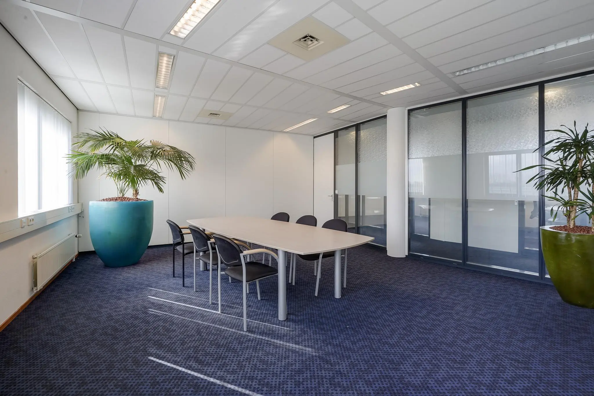 Vergaderruimte aan de Laan van s-Gravenmade met een tafel, zes stoelen, grote planten en glazen scheidingswanden.