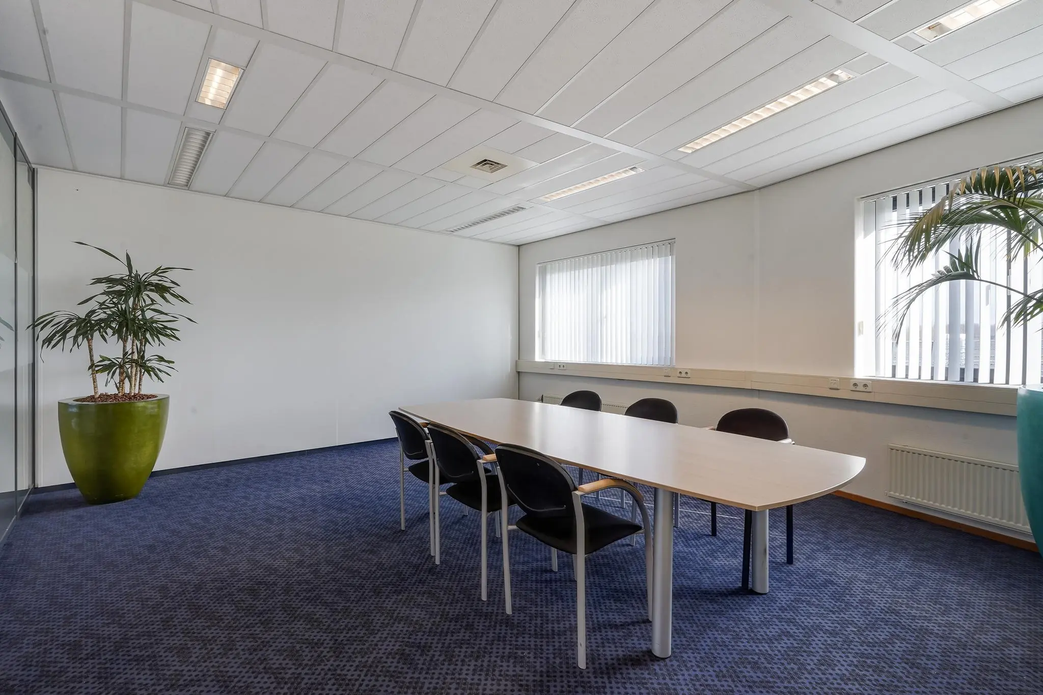 Vergaderruimte aan de Laan van ’s-Gravenmade met een lange tafel, zes stoelen, grote planten en veel daglicht door de ramen met jaloezieën.