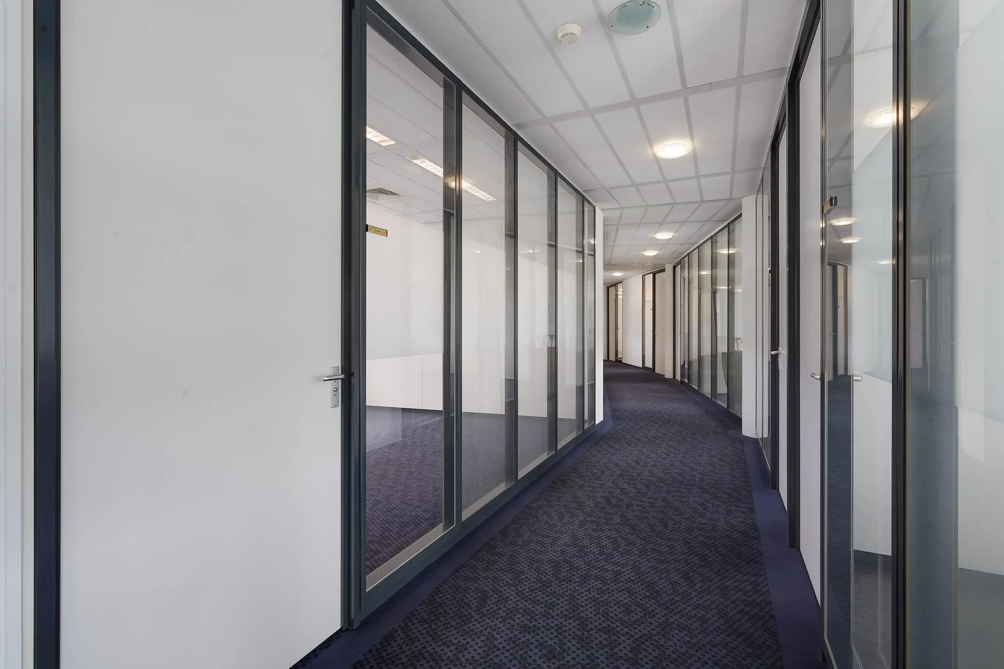 Gang met glazen kantoordeuren en blauw tapijt in een modern kantoorgebouw aan de Laan van S-Gravenmade.