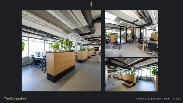 Modern kantoorinterieur op de zesde verdieping van Stadhouderskade 85 met veel daglicht, houten plantenbakken en open werkplekken.