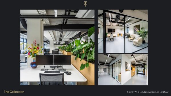 Modern kantoorinterieur op de derde verdieping van Stadhouderskade 85, met open werkplekken, glazen vergaderruimtes en veel groen.