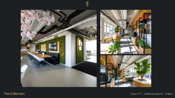 Moderne en licht ingerichte kantoorruimte op de 7e verdieping aan de Stadhouderskade 85, met veel planten, zitplekken en een caféhoek.