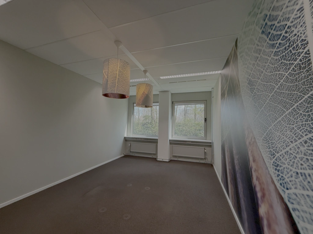 Leeg kantoorpand aan de Lunettenbaan met twee ramen, hanglampen en een decoratieve muur met een bladpatroon.