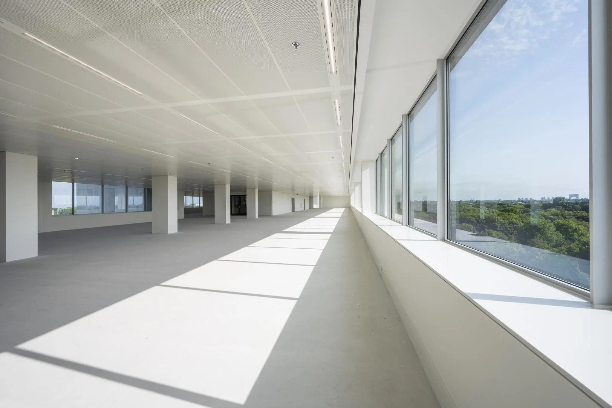 Licht en modern leeg kantoorinterieur aan de Nachtwachtlaan met grote ramen en uitzicht op groen.