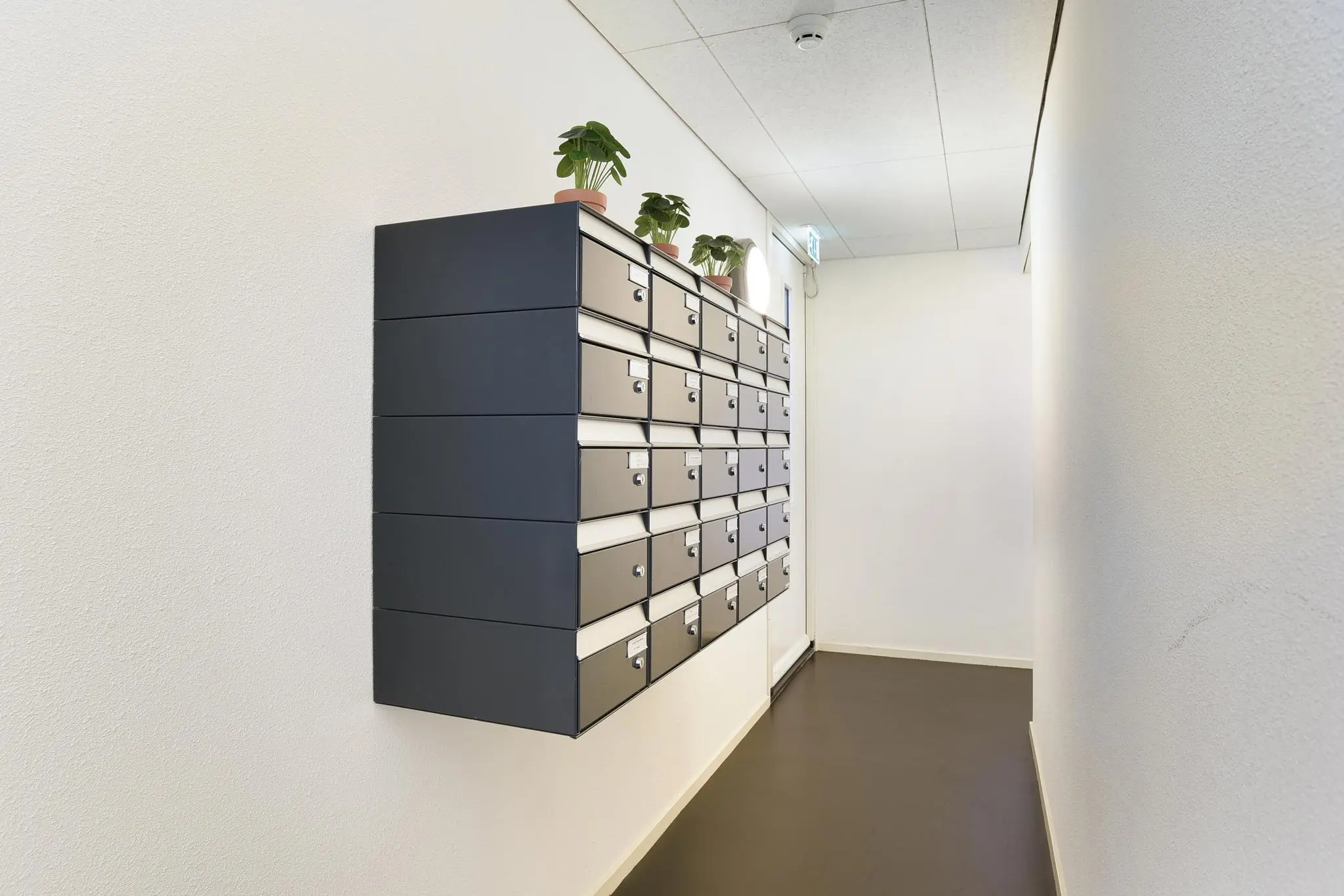 Wand met zwarte brievenbussen in een lichte gang van het appartementencomplex Middenburcht, met planten erbovenop.