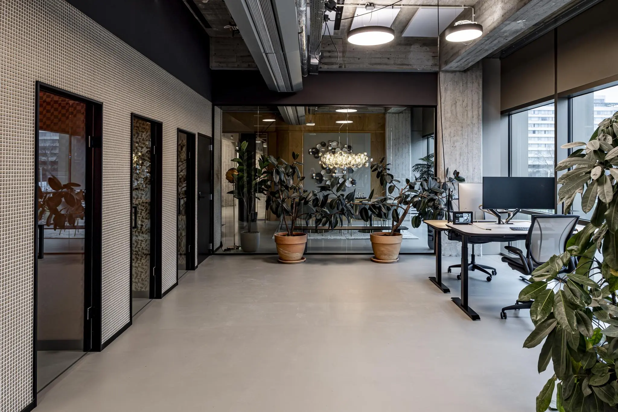 Modern kantoorinterieur op Hofplein met glazen vergaderruimte, bureaus en grote kamerplanten.