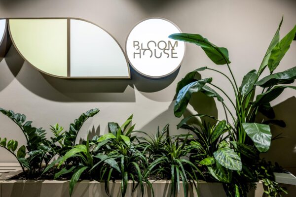 In een moderne ruimte staat een plantenbak met tropische planten onder een verlicht logo van "Bloom House" aan de muur.