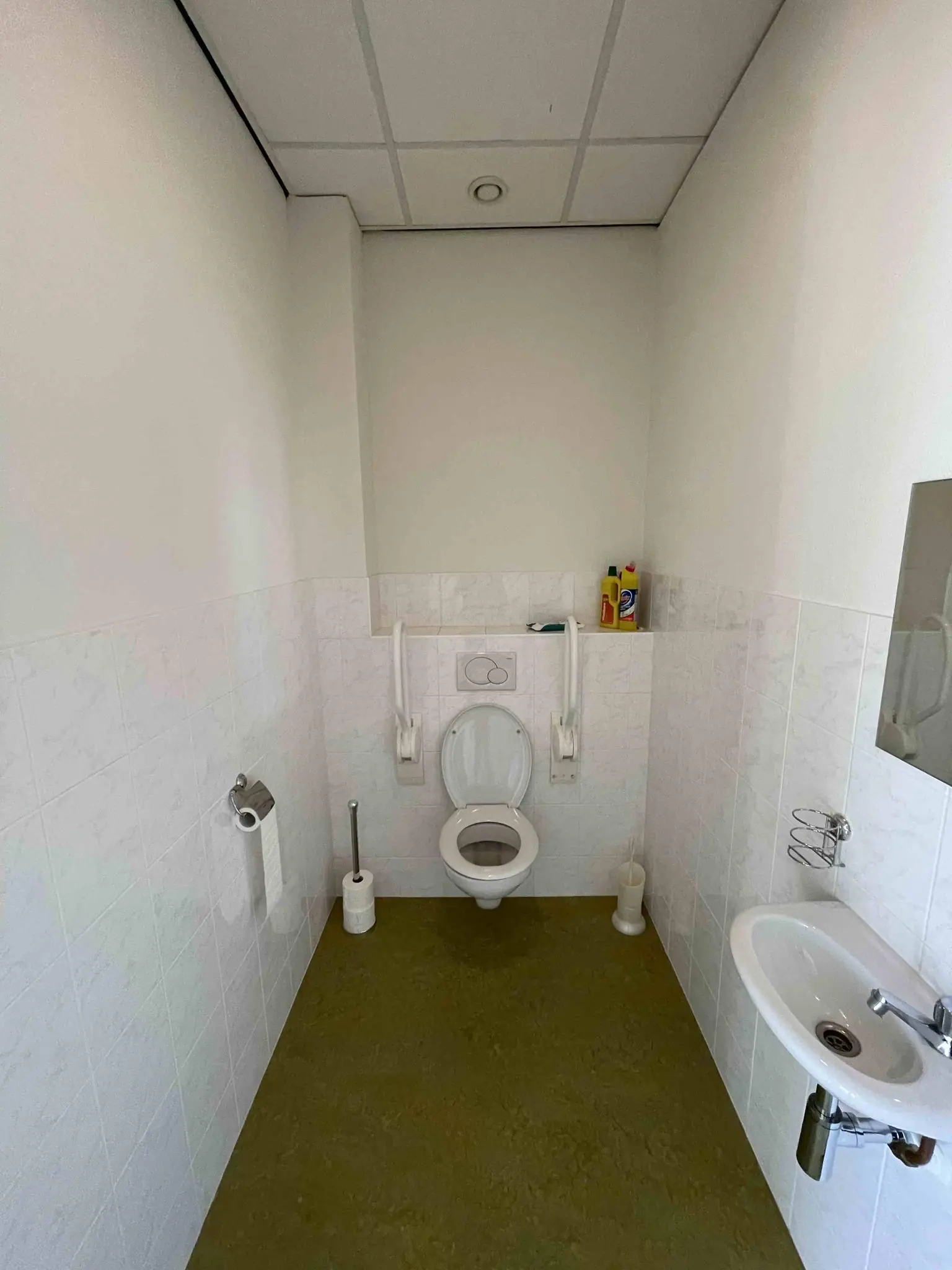 Invaliden-wc met wandbeugels, toiletartikelen en een wastafel in zorginstelling De Corridor.