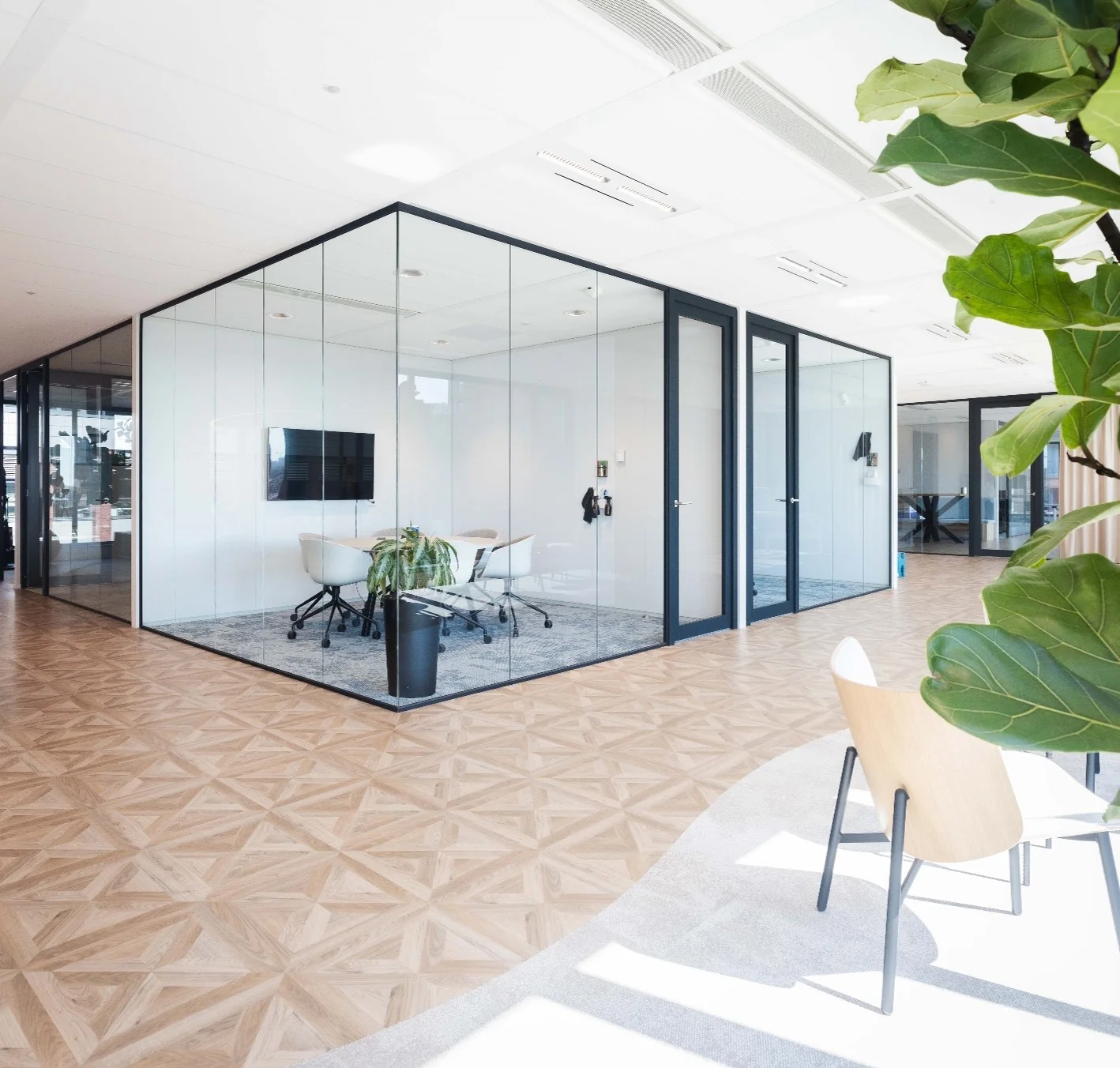 Modern kantoorinterieur aan de Mt. Lincolnweg met glazen vergaderruimtes, houten vloer en een grote kamerplant.