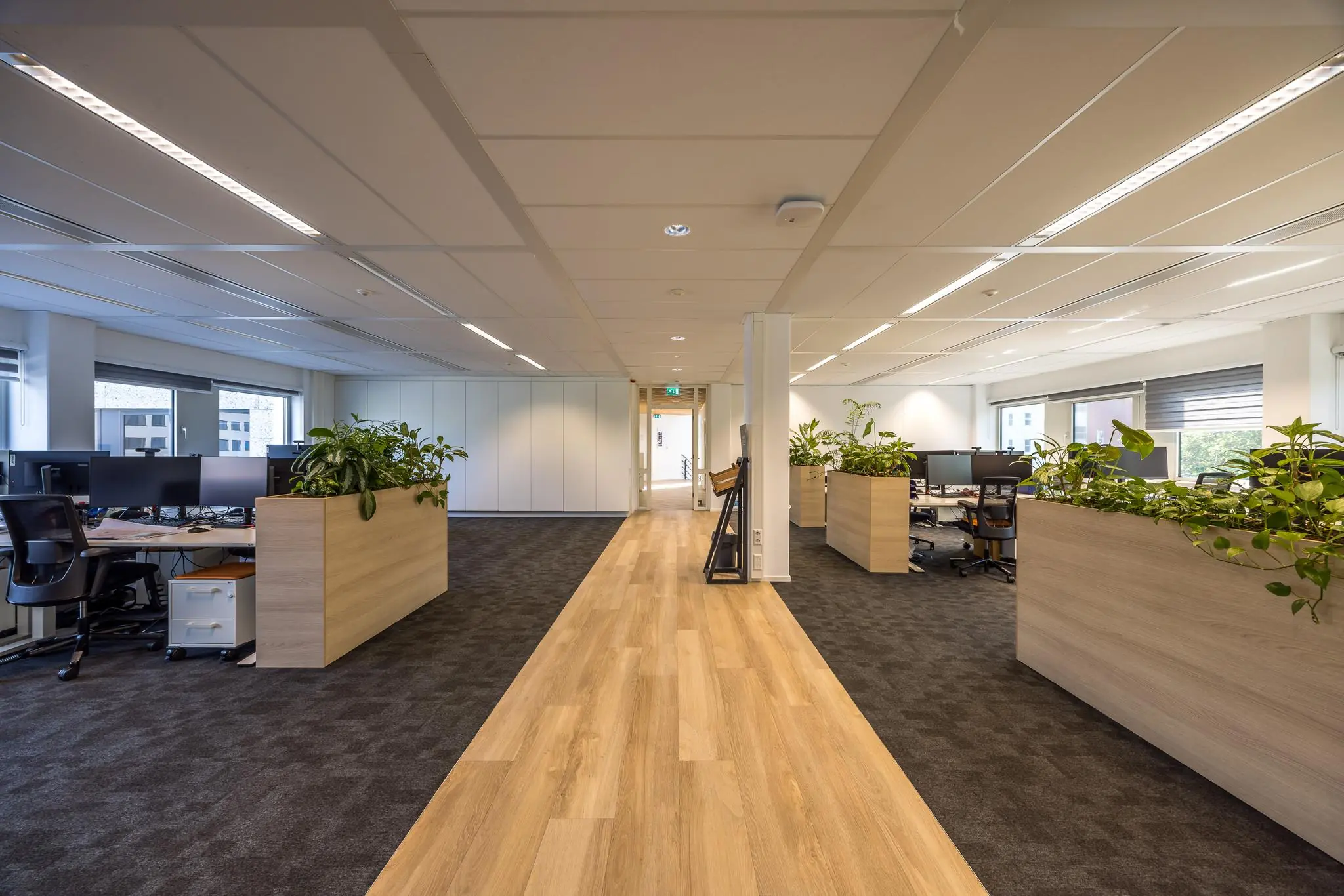 Modern kantoorinterieur aan de Varrolaan met werkplekken, plantenbakken en een helder verlichte gang.