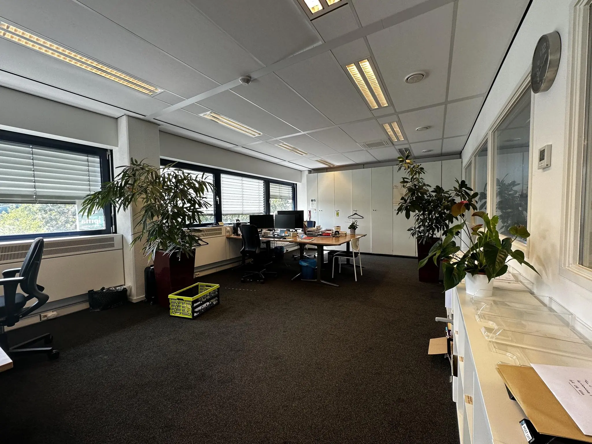 Modern kantoor aan de Vreeswijksestraatweg met bureaus, kantoorplanten en grote ramen met jaloezieën.