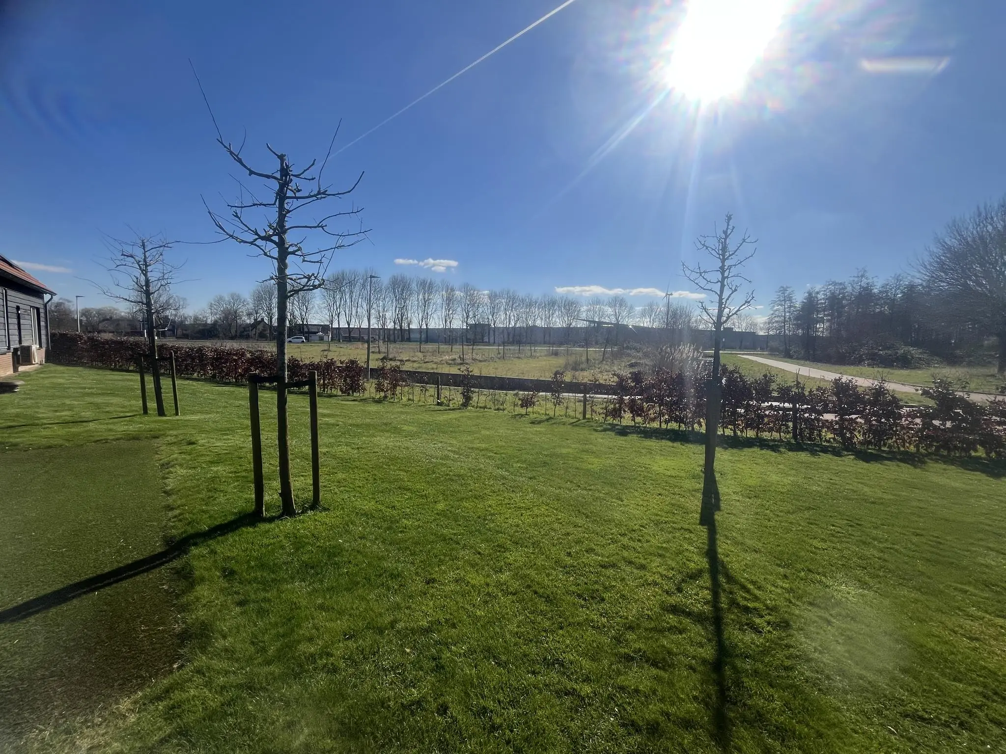 Zonnig uitzicht op een groen grasveld met jonge bomen bij Voorveste.