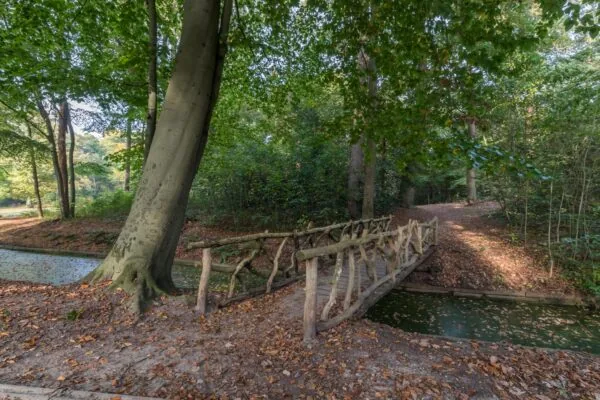 Houten brug met takkenleuning over een smal beekje in het bos bij Sparrenheuvel.