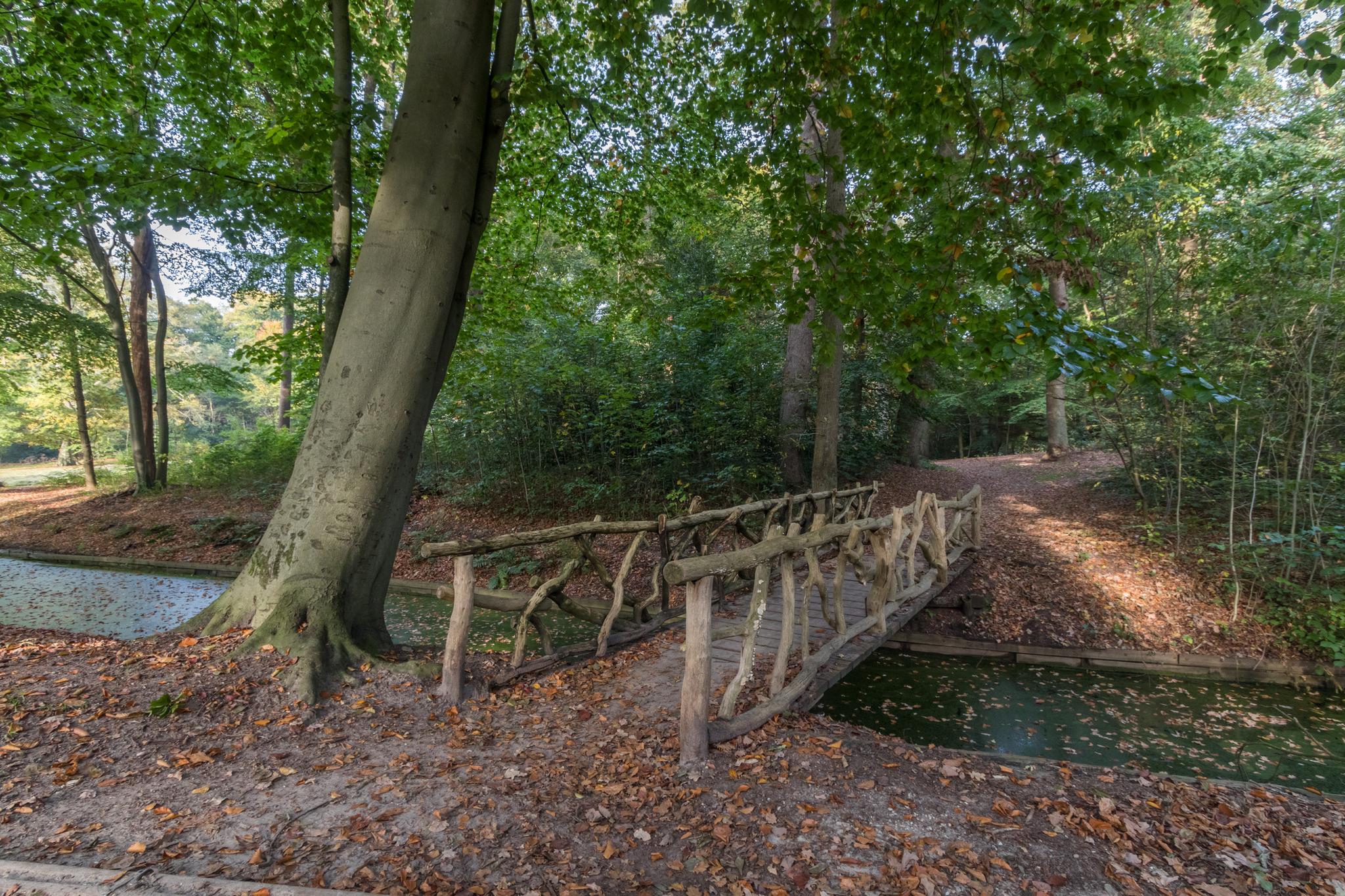 Sparrenheuvel 2