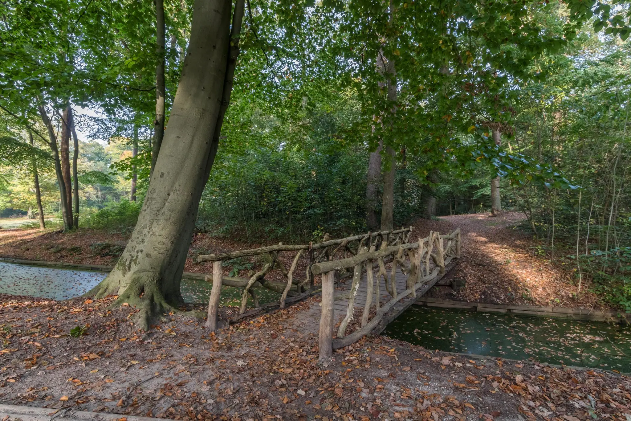 Houten brug met takkenleuning over een smal beekje in het bos bij Sparrenheuvel.