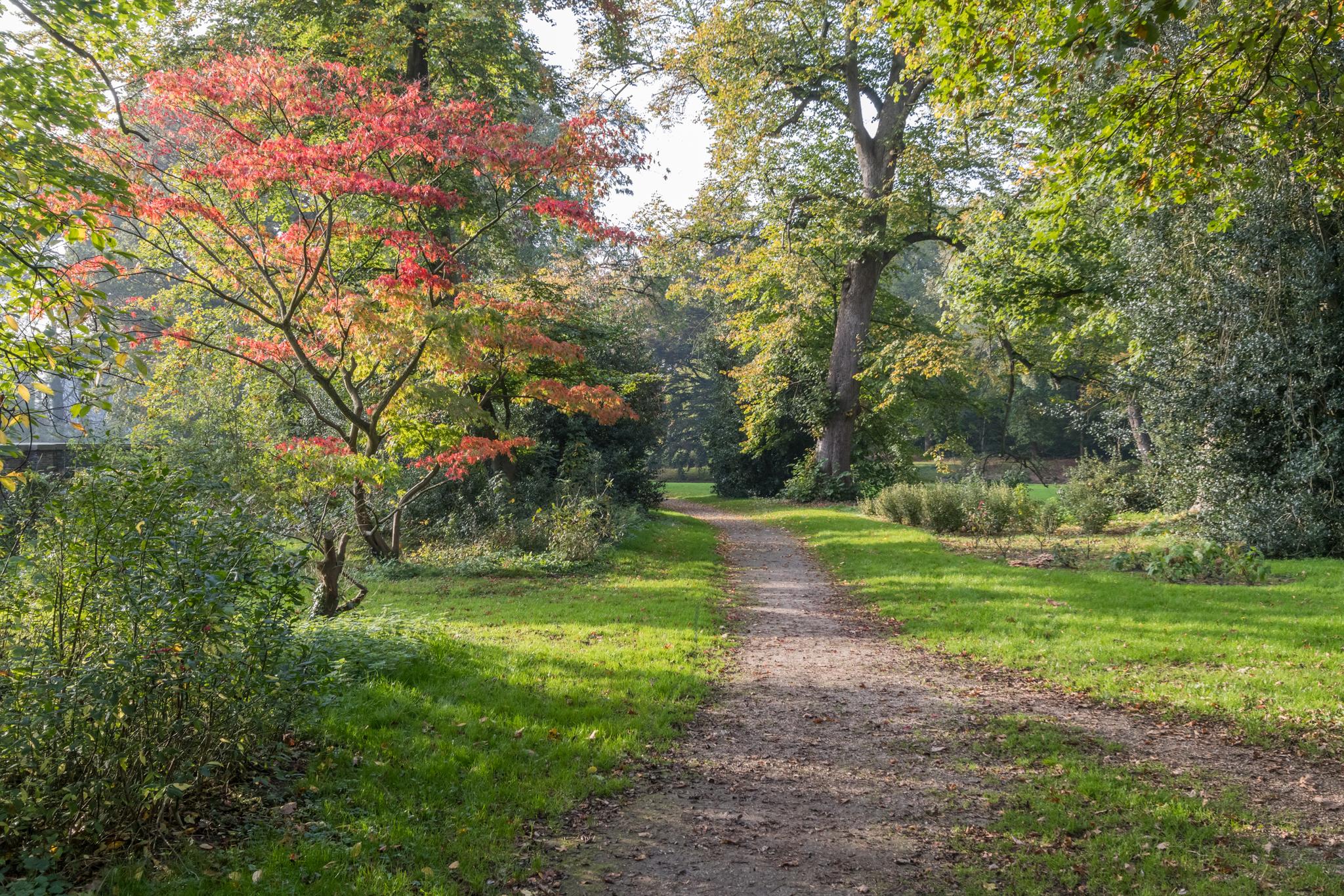 Sparrenheuvel 2