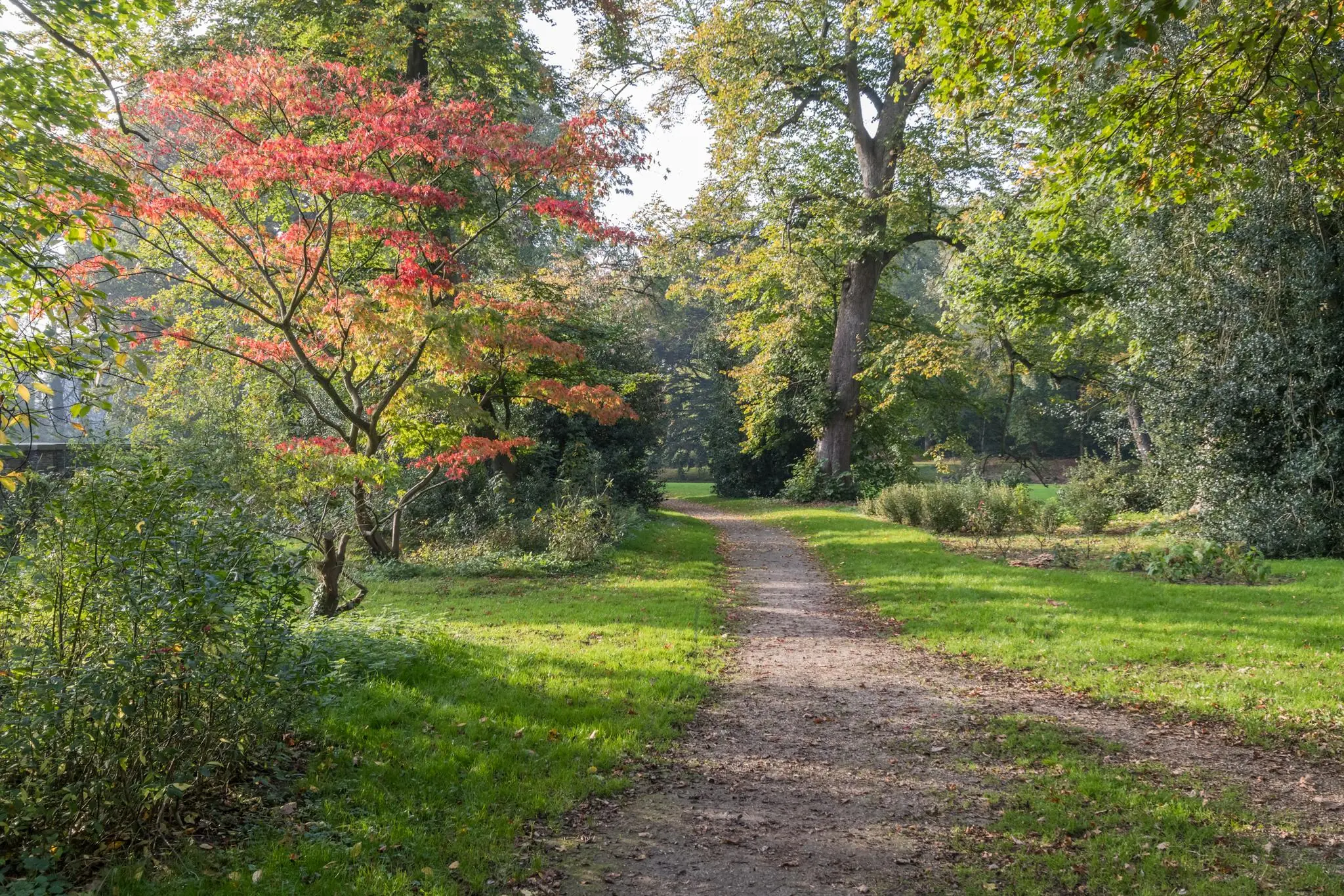 Een wandelpad door park Sparrenheuvel met kleurrijke herfstbomen en groen gras.