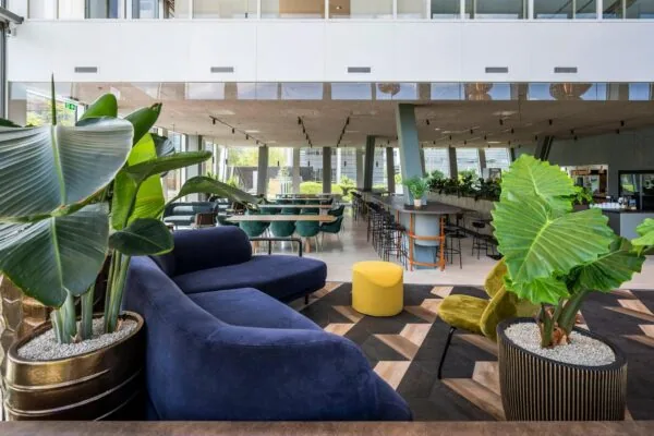 Moderne en sfeervolle lounge- en werkruimte aan de David Ricardostraat met designmeubilair, grote planten en veel natuurlijk licht.