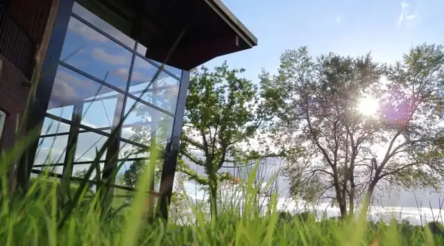 Glazen gevel van een modern gebouw aan de Plaatweg, gezien vanuit het gras met zonlicht door de bomen.