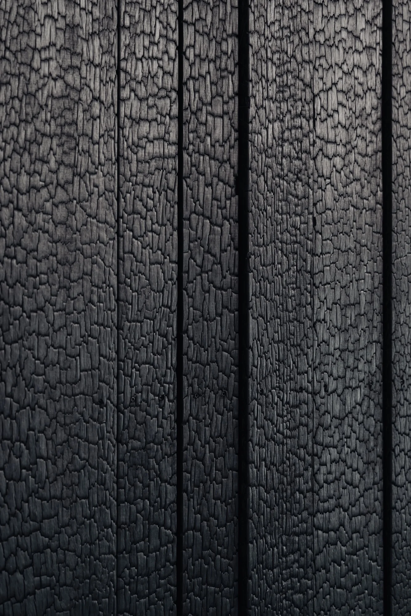 Detailopname van verkoolde houten gevelbekleding aan de Leidseweg.