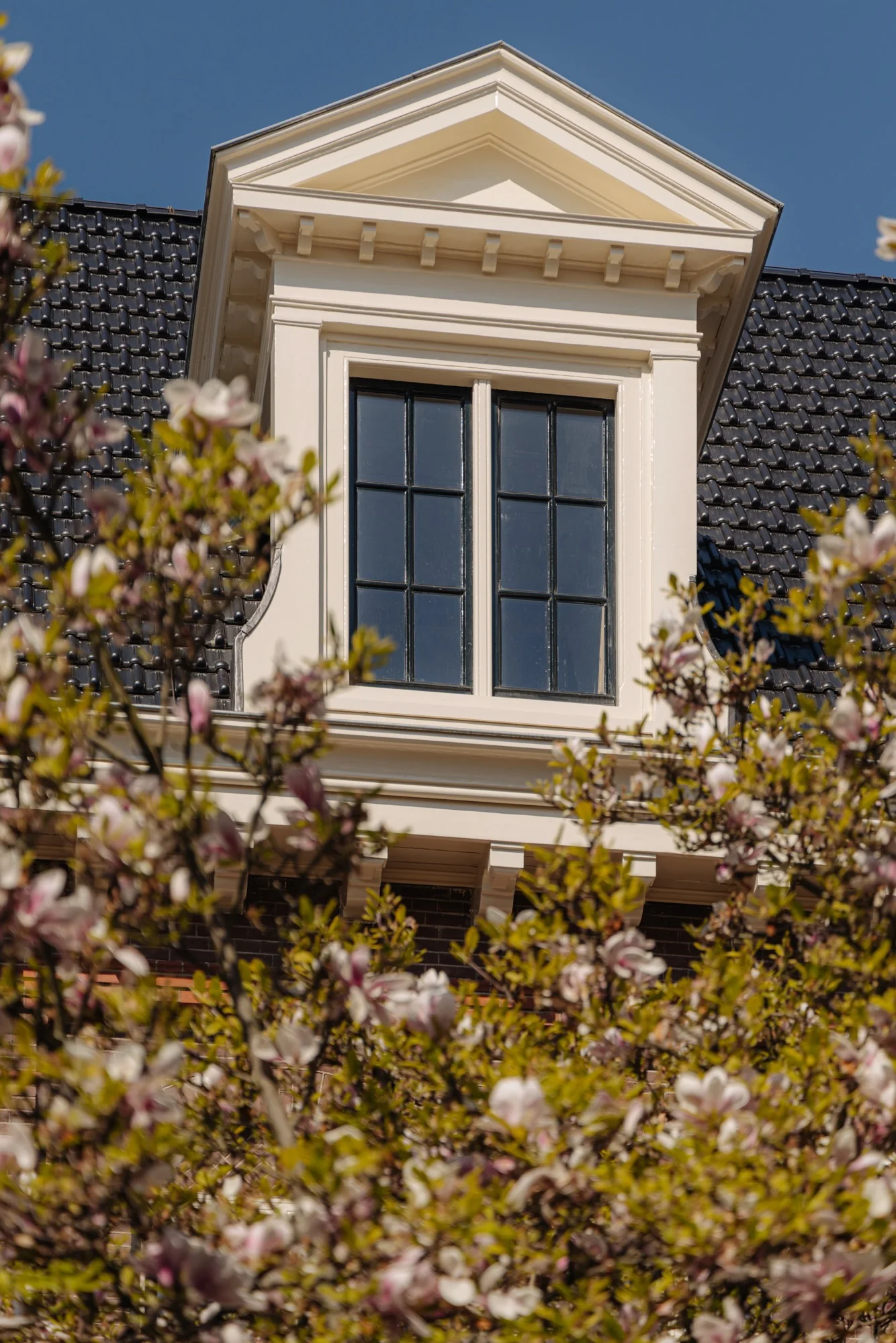 Bovenraam met klassiek wit gevelkozijn aan de Leidseweg, deels omringd door bloeiende magnoliatakken.