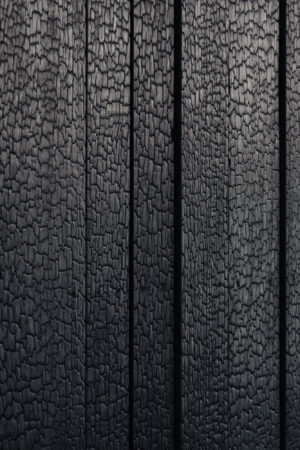 Close-up van zwartgeblakerde houten panelen in shou sugi ban-stijl op de gevel van Muntkade 175.