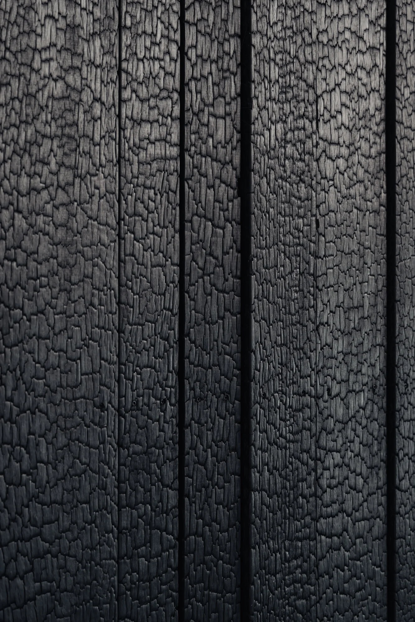 Close-up van zwartgeblakerde houten panelen in shou sugi ban-stijl op de gevel van Muntkade 175.