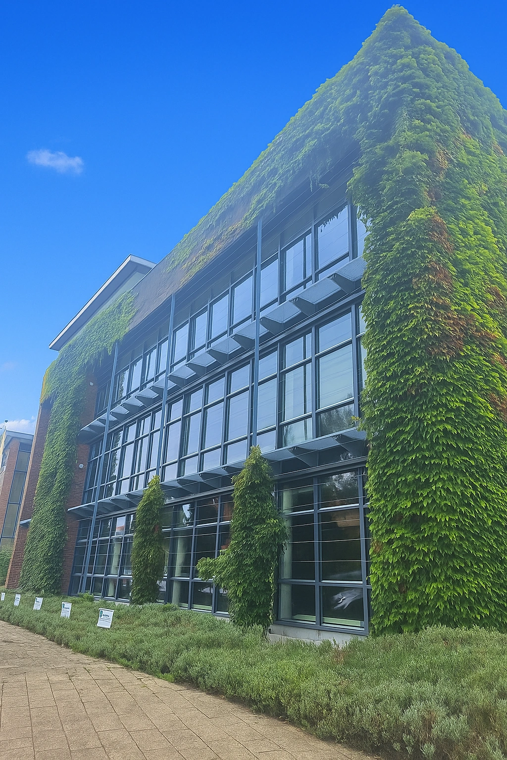 Een modern kantoorgebouw aan de Jan Leentvaarlaan, begroeid met klimplanten tegen een felblauwe lucht.