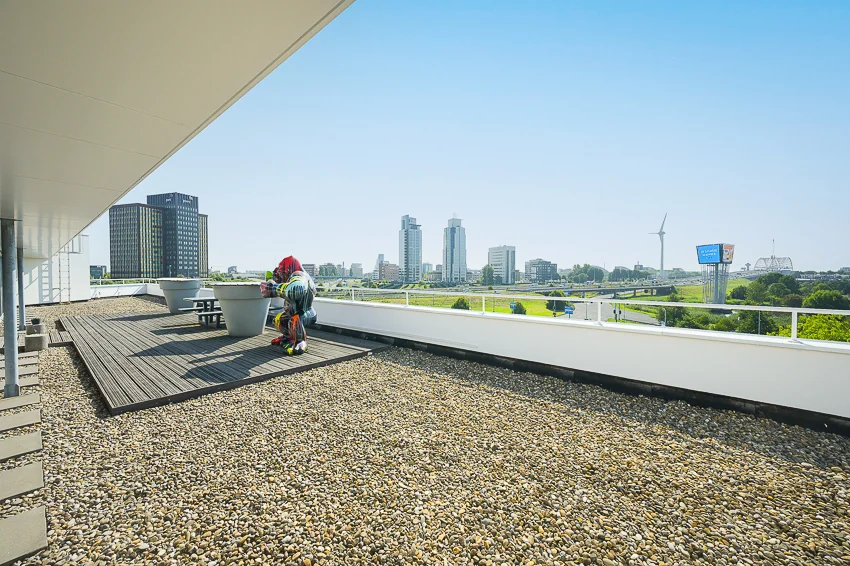 Dakterras aan de K.P. van der Mandelelaan met uitzicht op de skyline van Rotterdam en een kleurrijk beeld.
