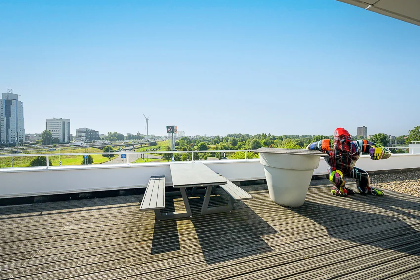 Dakterras aan de K.P. van der Mandelelaan met picknicktafel, plantenbak en kleurrijk beeld van een hurkende figuur met uitzicht op kantoren en een windturbine.