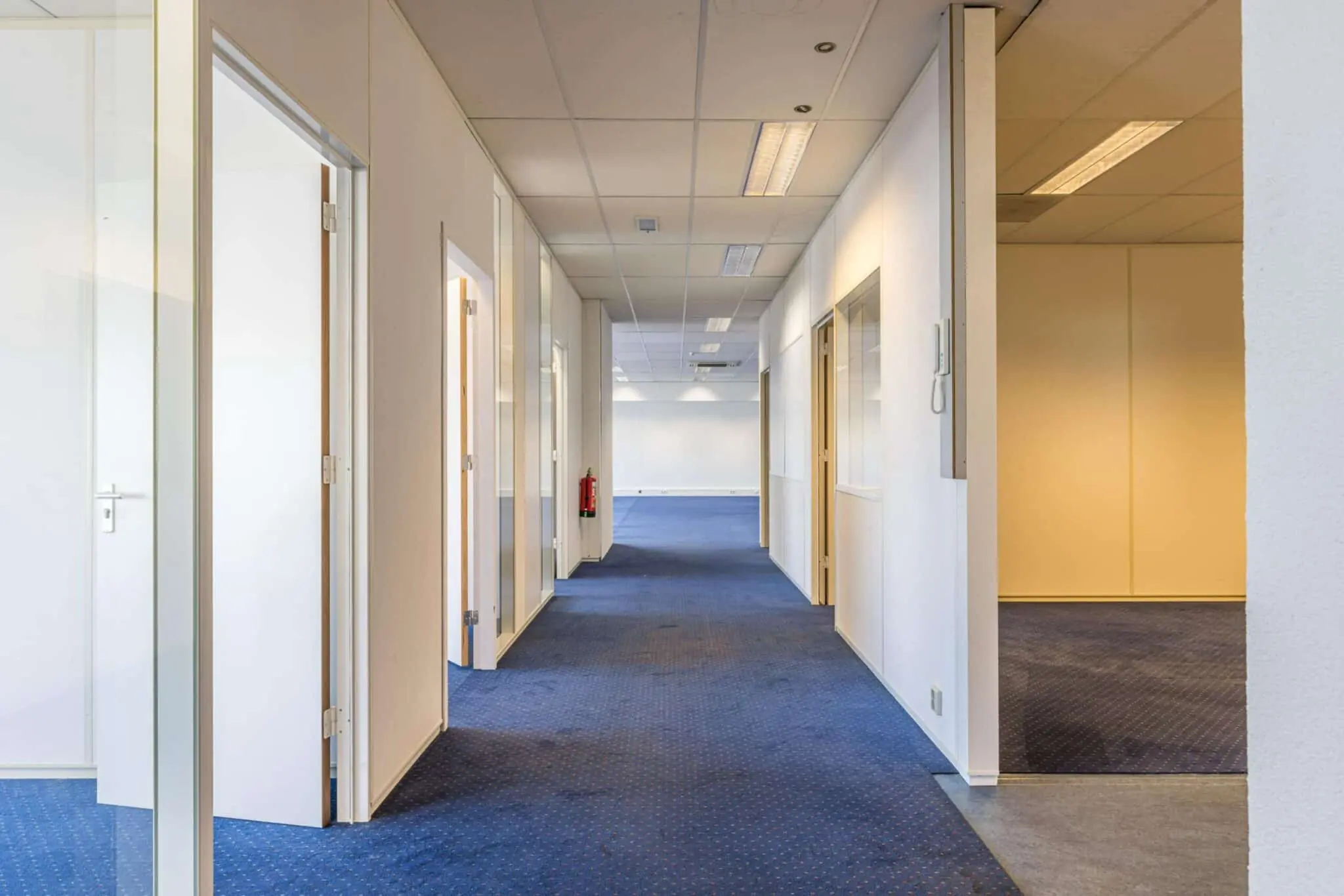 Gang in een kantoorgebouw aan de Zonnebaan met blauwe tapijtvloer en meerdere openstaande deuren naar kantoorruimtes.