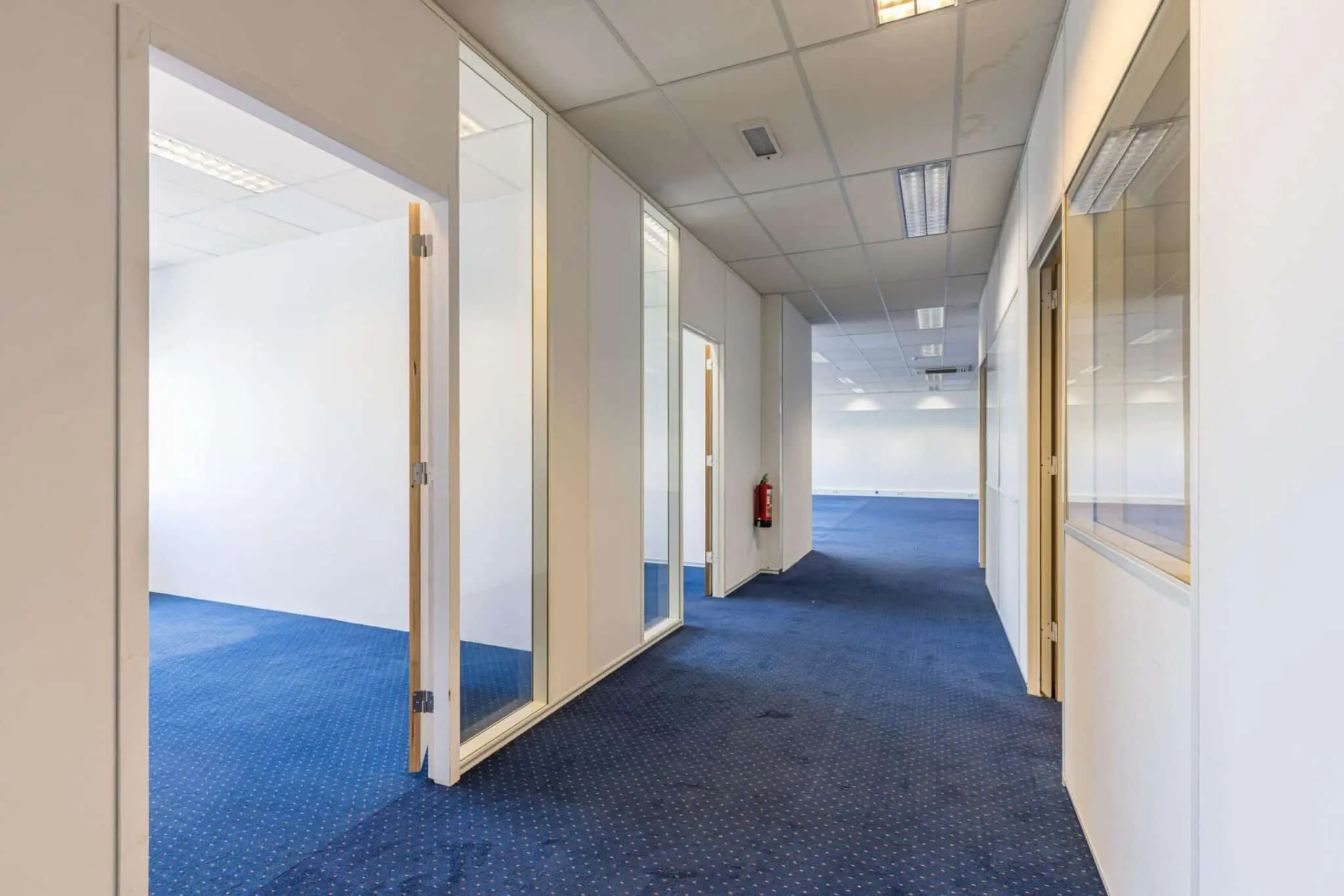 Gang in een kantoorpand aan de Zonnebaan met blauwe vloerbedekking en glazen kantoorwanden.