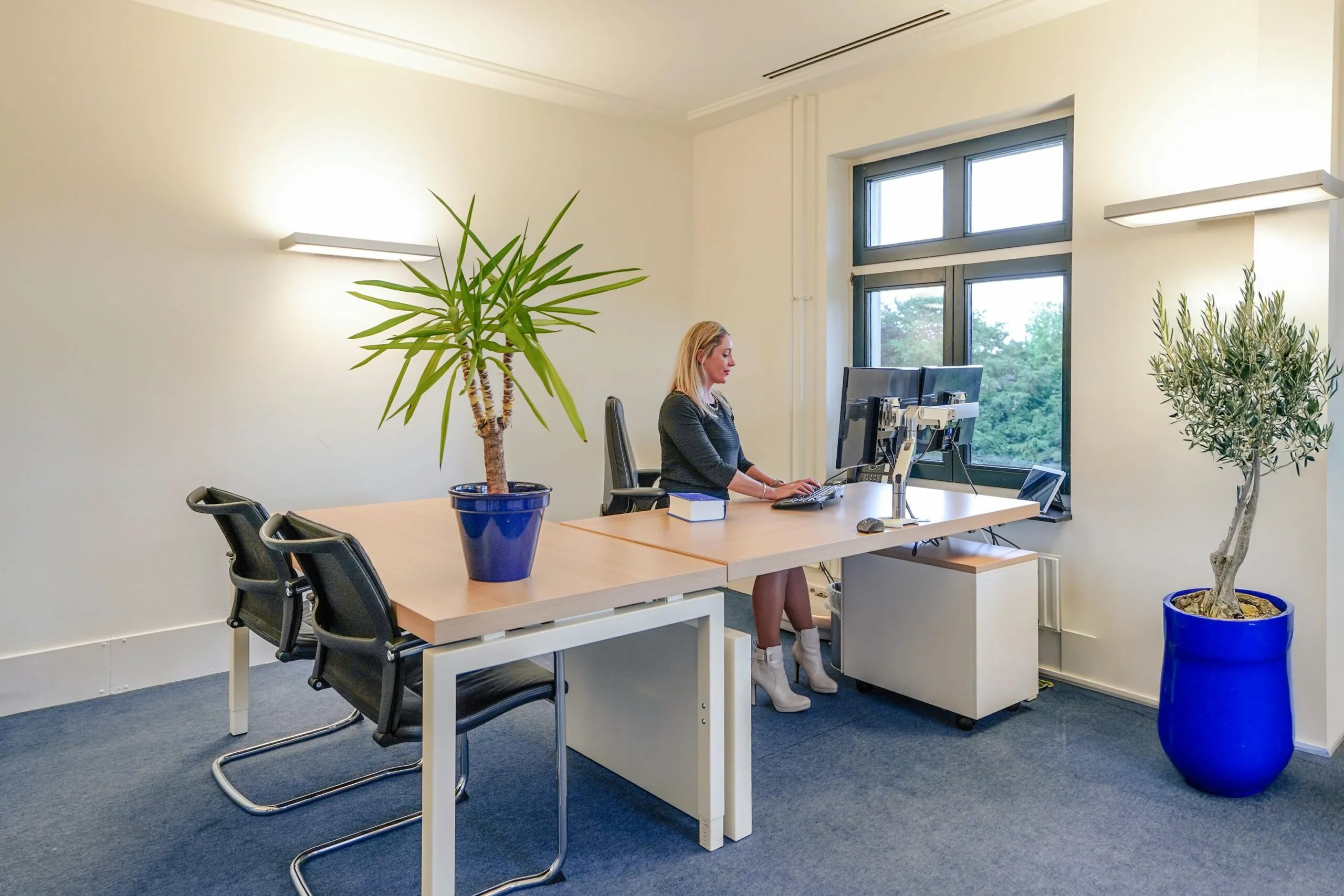 Vrouw werkt aan een bureau met meerdere schermen in een modern kantoor aan de Utrechtseweg, omringd door grote planten in blauwe potten.