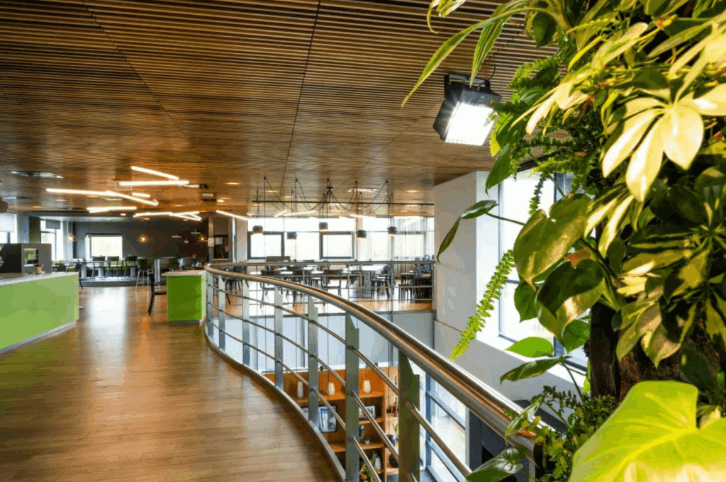 Moderne kantoorruimte aan de Boeing Avenue met houten vloer, veel daglicht en groene plantenwand.