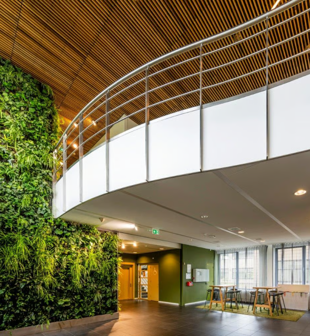 Moderne kantoorruimte aan de Boeing Avenue met een groene plantenwand, houten plafond en open zitgedeelte.