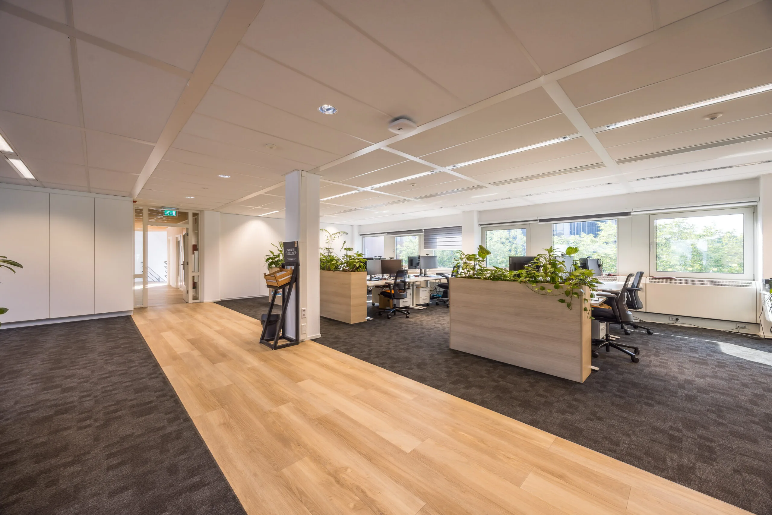 Moderne open kantoorruimte aan de Varrolaan met werkplekken, planten en grote ramen voor natuurlijk licht.
