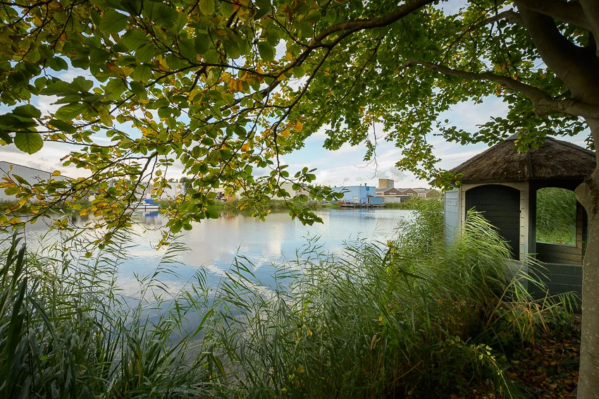 Uitzicht vanaf de Linschotenstraat op een rustige waterplas met een houten prieel, omgeven door riet en bladeren.