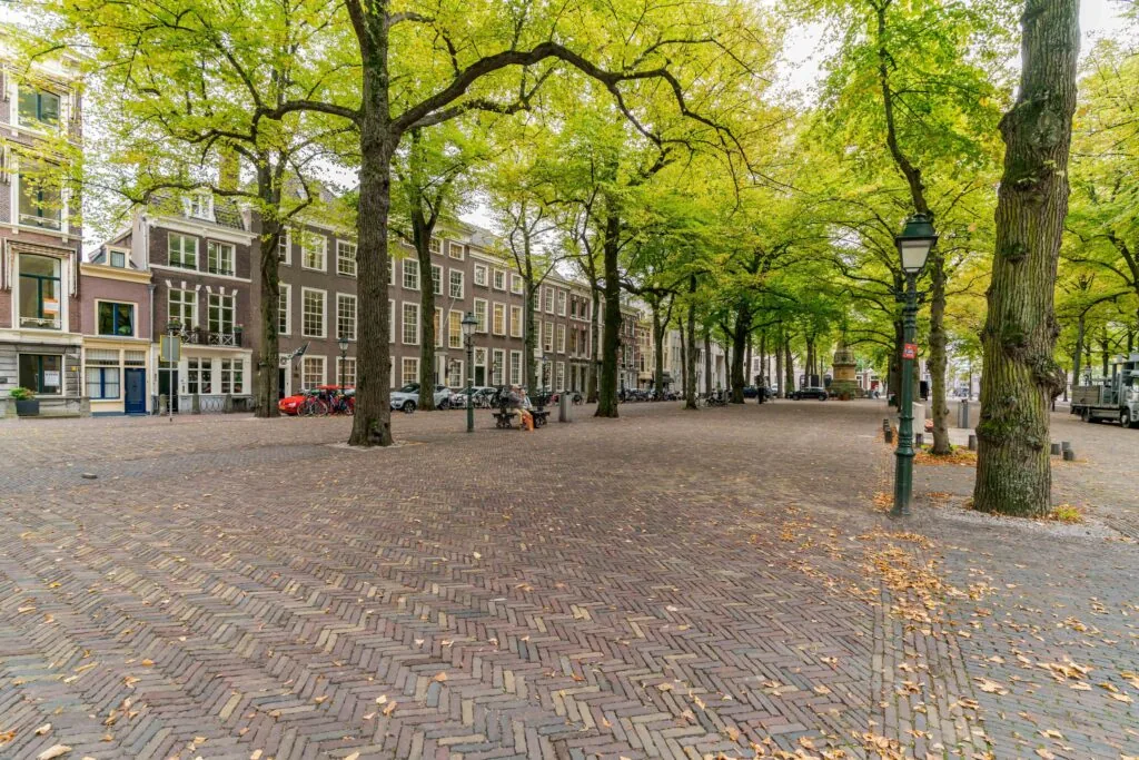 Boomrijke laan met historische panden aan het Lange Voorhout in Den Haag.