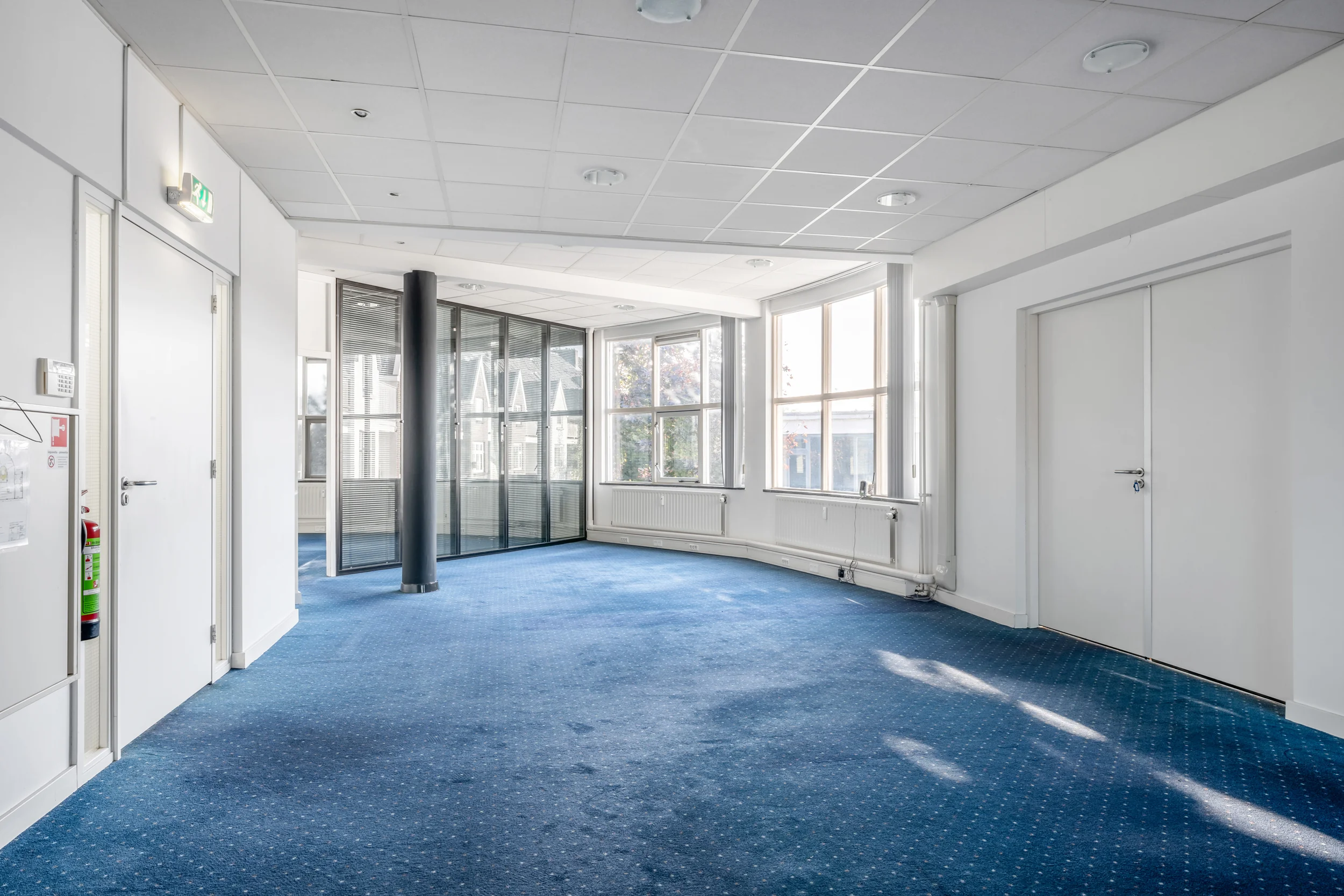 Bright and spacious office area at Rozenlaan with blue carpet, large windows, and glass partition walls.
