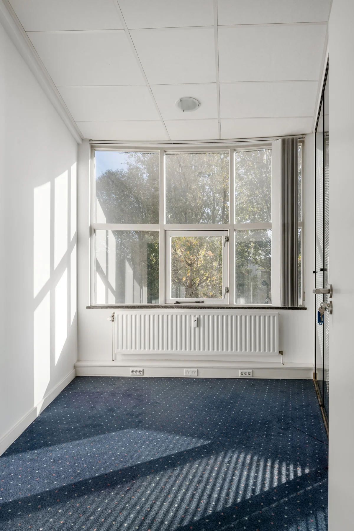 Bright, empty office room on Rozenlaan with large windows, blue carpet, and white radiator.