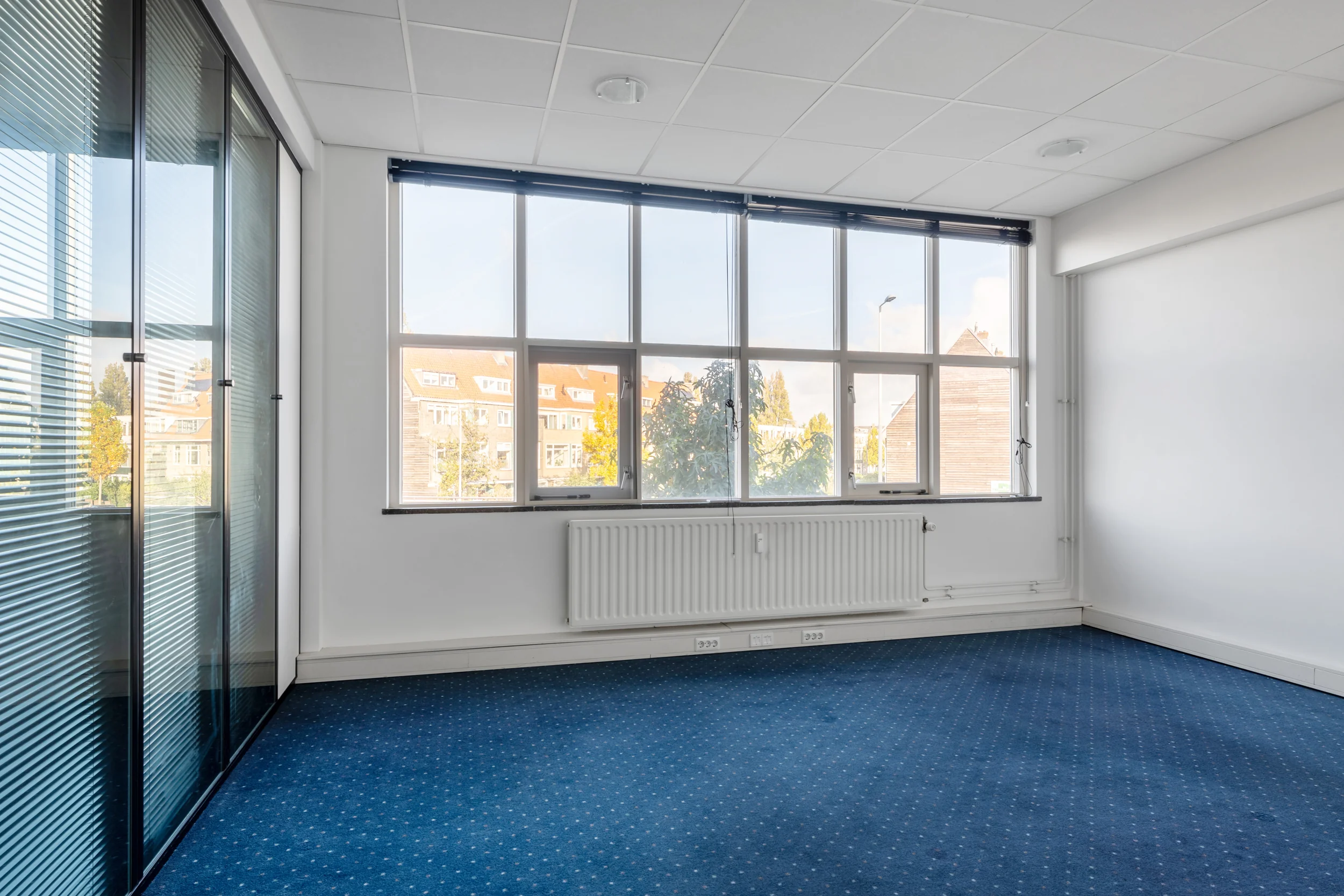 Bright, unfurnished office space on Rozenlaan with large windows, blue carpet, and glass partition wall.