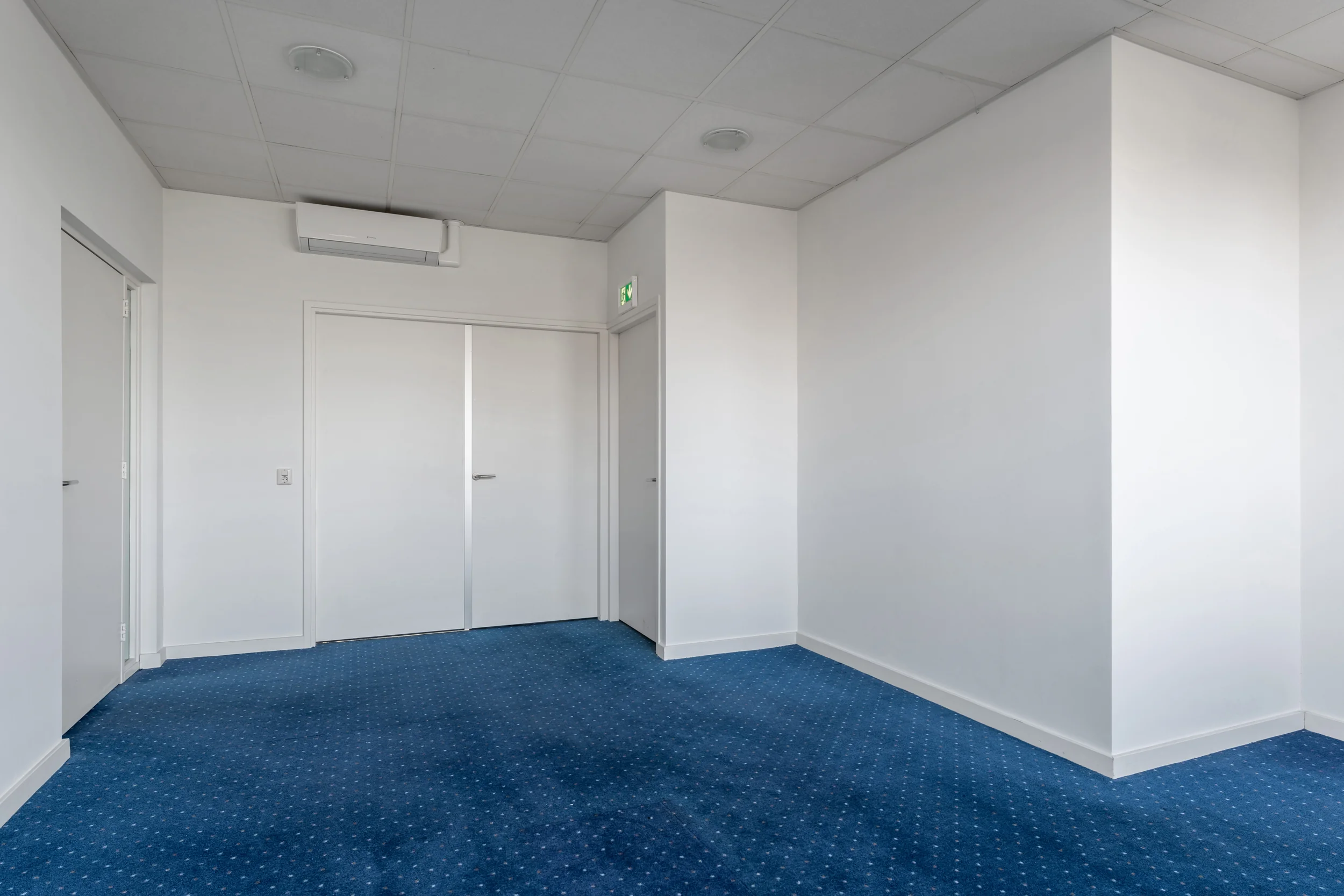 Empty white office room with blue carpet, drop ceiling, and multiple closed doors.